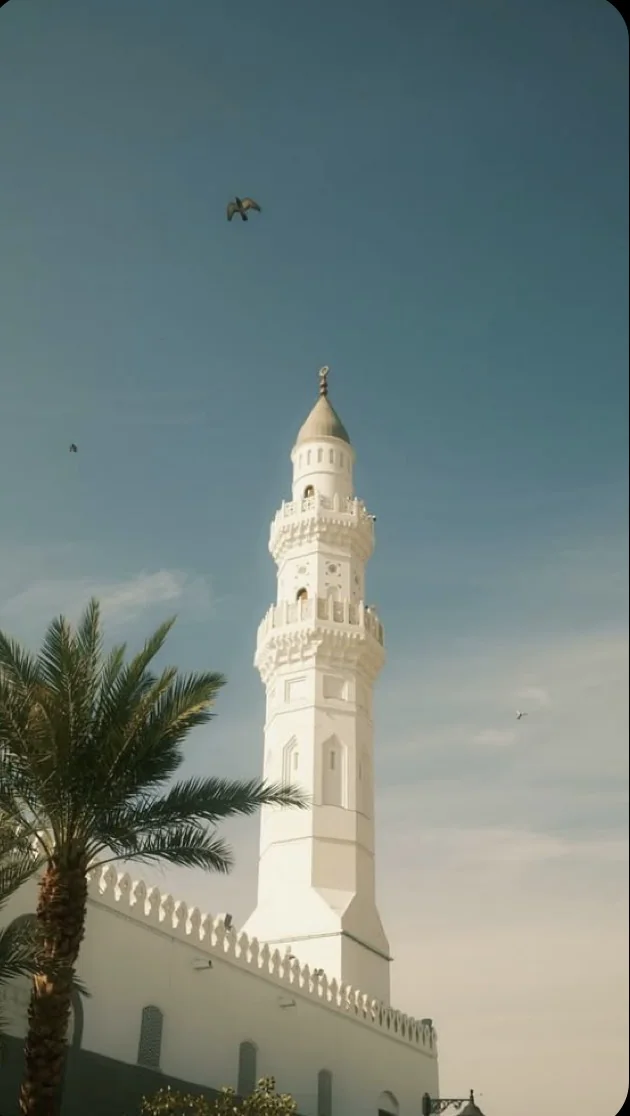 Minaret blanc et palmier sous le ciel bleu